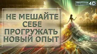 НЕ МЕШАЙ СЕБЕ ПРОГРУЖАТЬ НОВЫЙ ОПЫТ/ DONT STOP YOURSELF LOADING A NEW EXPERIENCE