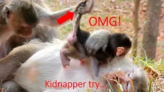 OMG! Be careful Brianna, Kidnapper try close &Catch your newborn, Brianna look tired