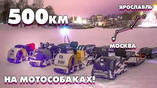 Самая страшная поломка... И КОНЕЦ ЭКСПЕДИЦИИ! Из Москвы в Ярославль 500км на МОТОСОБАКАХ! Серия 5