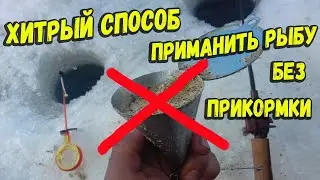 Хитрый способ приманить рыбу без прикормки на рыбалке