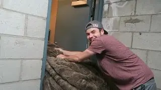 THE HARDEST JOB OF MY LIFE!