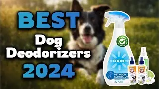 Top Best Dog Deodorizers in 2024 & Buying Guide - Must Watch Before Buying!