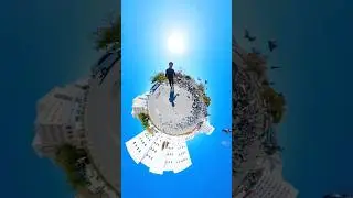 peaceful place #shorts #birds #birdlovers #instagram #360