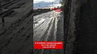 Жительница 