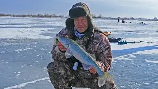 НАШЛИ СКОПЛЕНИЕ пассивного СУДАКА! 4 ШТУКИ с лунки! Рыбалка в Астрахани, с эхолотом ПРАКТИК.