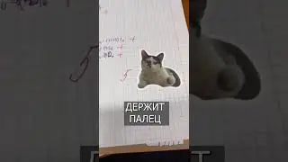 Учительница вклеивает МЕМНЫХ КОТОВ вместе с оценками