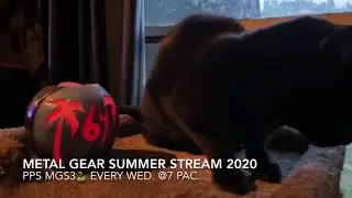 Metal Gear Summer Stream 2020