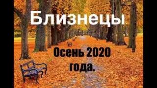 Близнецы. Осень 2020 года. Таро-прогноз.