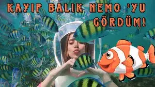 BALIKLARLA BERABER YÜZDÜM ! / Tayland Phuket Adalar Turu | Gözde Yıldız