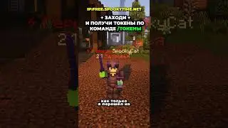 Меня добавили в ЧС проекта в Майнкрафте...