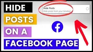 How To Hide Posts On A Facebook Page? [in 2024]