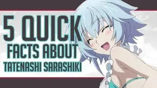 5 Quick Facts About Tatenashi Sarashiki - Infinite Stratos