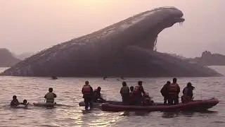 Interesting Ocean Moments