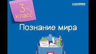 Познание мира. 3 класс. Тюрки и их образ жизни /03.02.2021/