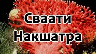 Секреты накшатр - Свати Накшатра