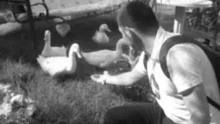 Facebook _ Burak Mustafa Yalcinkaya___burakmustafayalcinkaya.mp4