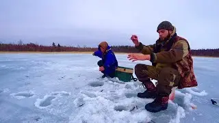 Отличный клев ПЛОТВЫ. Прикормили лунки. Рыбалка на Ладожском озере.