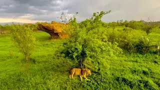 НЕ МОЖЕТ БЫТЬ!!! У НЕдругов Тайгана профессиональный праздник-ДЕНЬ ШИЗОФРЕНИИ, поздравляю))))