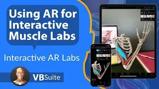 Visible Body | Use AR for Interactive Muscle Action Labs