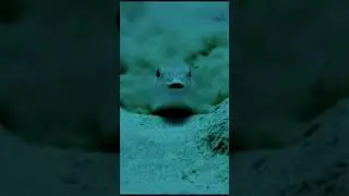 А на что ты способен ради любви?
