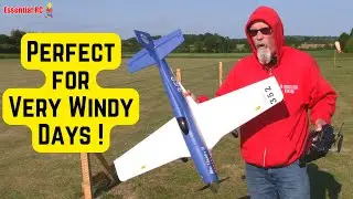 The PERFECT RC aeroplane for VERY WINDY days ! FMS P-51 Mustang V2 Reno Racer | 4-Max 60C 4S2200