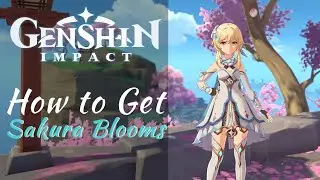 Genshin Impact | How to get Sakura Blooms | 2.0 Inazuma Update