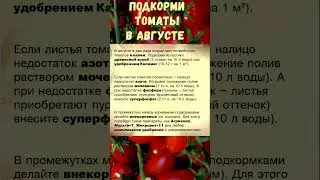 ПОДКОРМКА ТОМАТОВ В АВГУСТЕ 