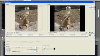 Using the Pan and Zoom Effect - VideoStudio Pro X2