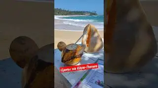 Цены на Шри-Ланке в кафе с видом на море 🏖️🔥🌴 Как вам? Шри-Ланка дешевле Таиланда?  