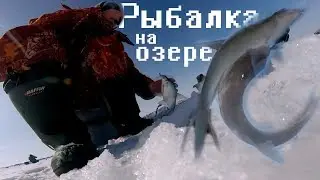 Рыбалка на новом озере/2019