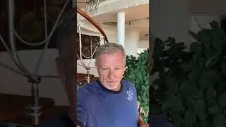 вынос путина: следующий ход..? / ПАЛЬЧЕВСКИЙ