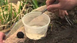 Macroinvertebrates and Water Quality