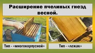 Пчеловодство ☆ Расширение пчелиных гнезд весной ☆ Начало мая