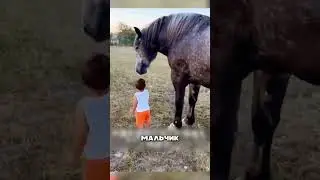 Лошадь обняла младенца 🥹🐎