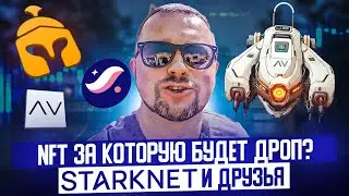 Starknet аирдроп Кошелек Braavos Трейдинг AVNU.fi Общие квесты для дропа и новые NFT для Pro Score