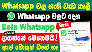 How to Join WhatsApp Beta Tester Version in Sinhala | Whatsapp beta version sinhala