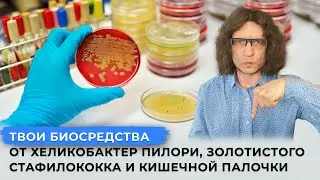 Твои биосредства от хеликобактер пилори, золотистого стафилококка и кишечной палочки.