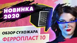 Обзор сухожарового шкафа - ферропласт 10 premium| Дарья Ушакова