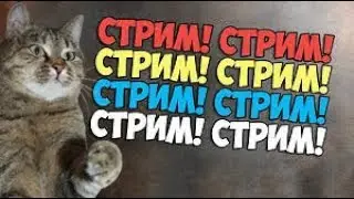 ЧУНЯ LIVE ❆ СТРИМ часть 2 - 22.02.2020