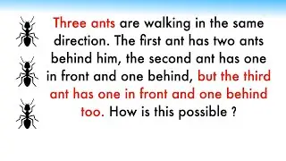 The Ants Go Marching | Viral Logical Puzzle