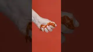 unexpected ending 