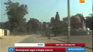 Аномальная жара в Индии унесла жизни более 600 человек