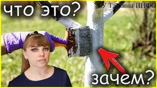 ПУШОНКА - это... Что такое ПУШОНКА?! Как применять пушонку?!