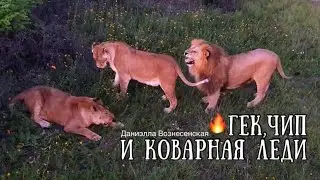 В 