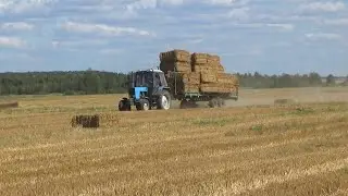 Трактора МТЗ-82 возят солому с полей СПК 