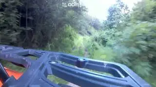 Yalova Orman Yolları #2: Kurtköy #2