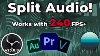 How to Record in HIGH FPS and Multitrack Audio!