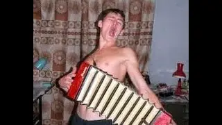 Гуляли свадьбу   порвали два баяна