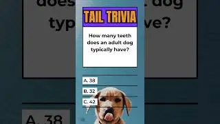 Tail Trivia!