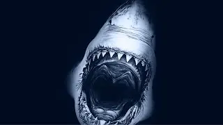 Why Megalodon Was the Ultimate Marine Predator
